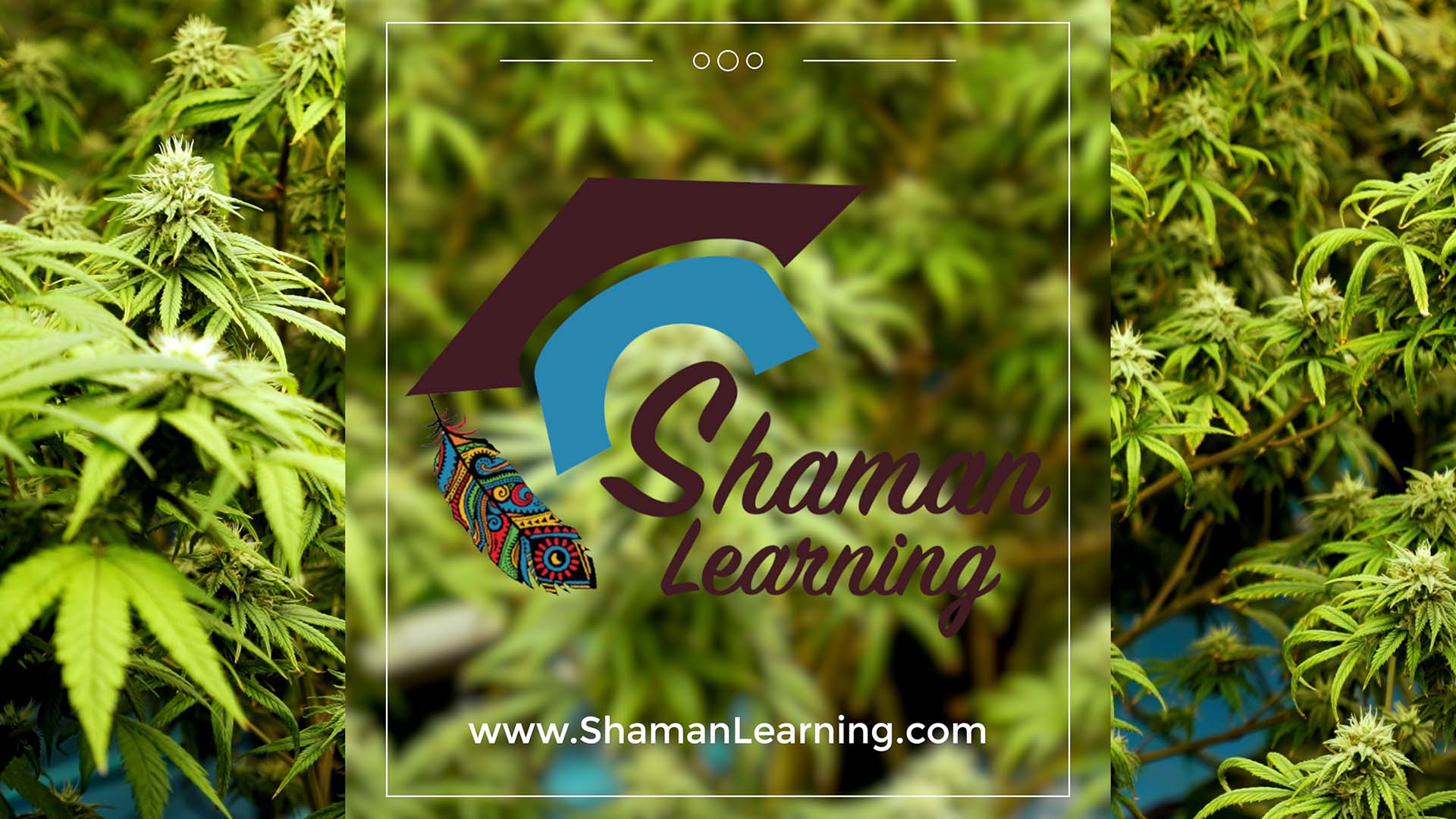Shaman Learning Portal